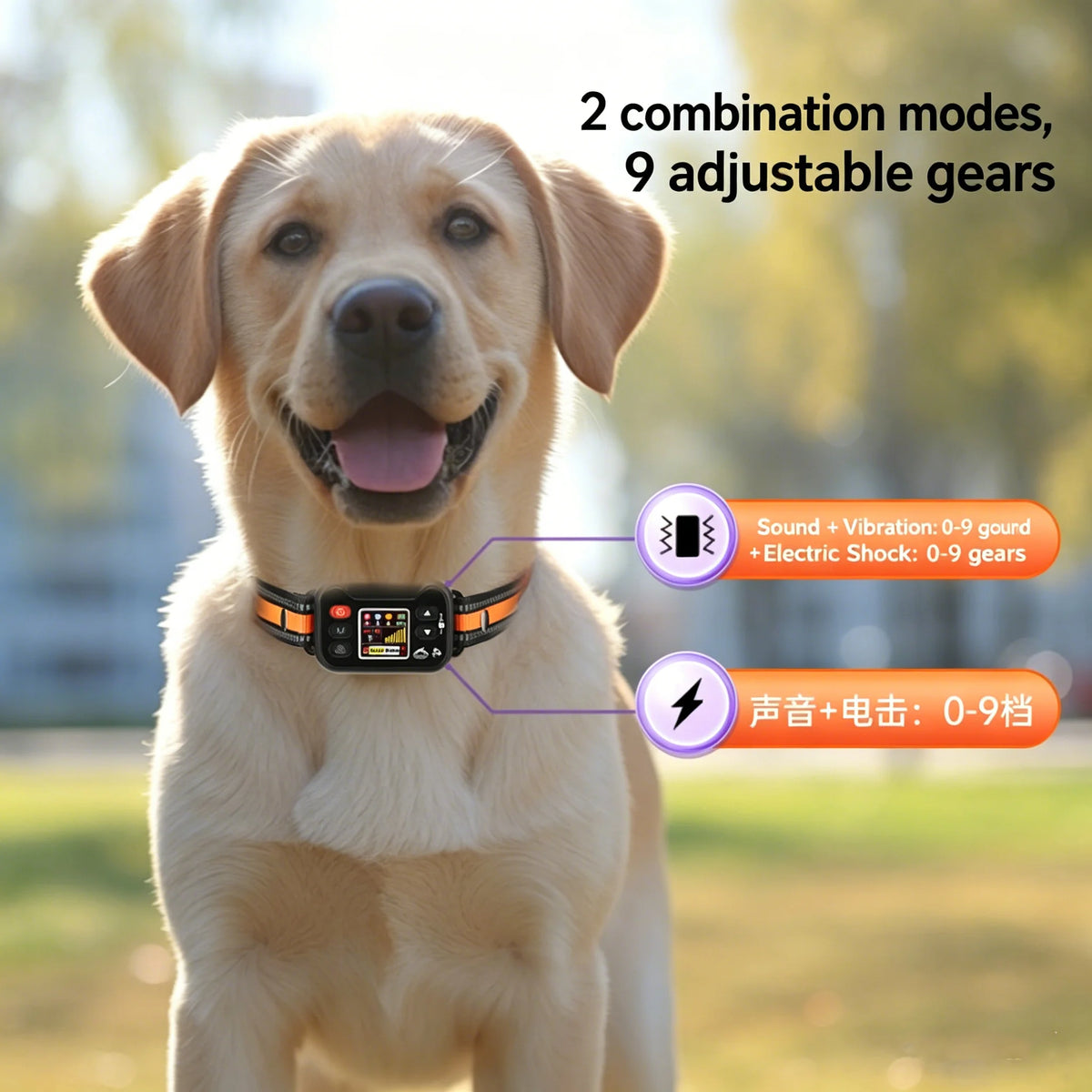 FURLIVIO™ Smart GPS Dog Training Collar with Wireless Fence